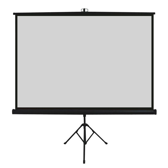 Projector Screen